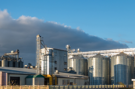 الامن الغذائي وتقليل الهدر